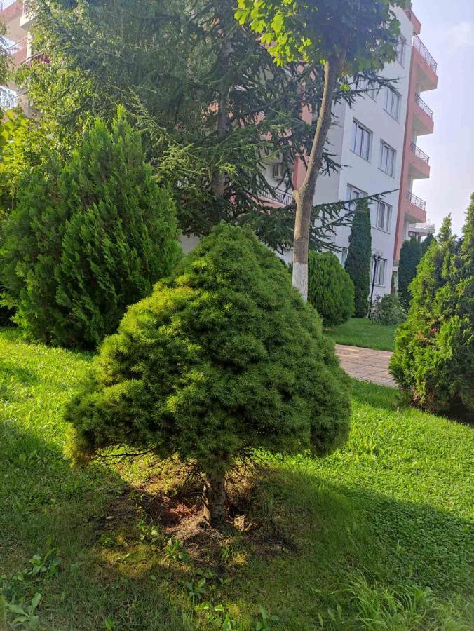 Apartament Ravda Sea View Zewnętrze zdjęcie